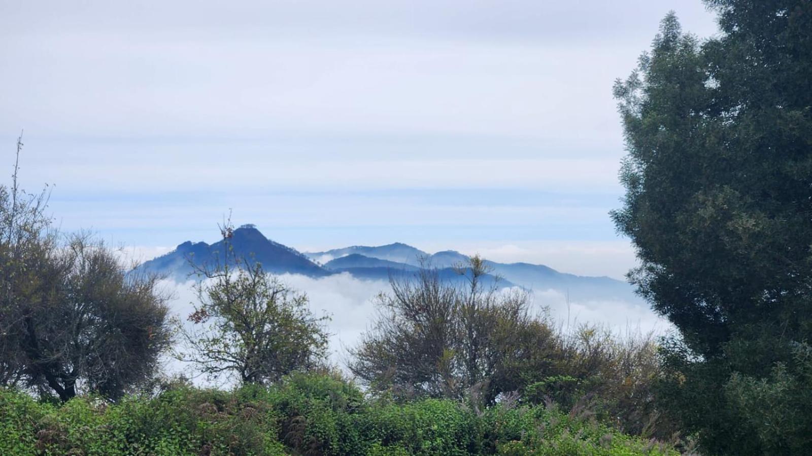 Fabhotel Tranquil Heights Tamilnadu - Kodaikanal Exterior foto